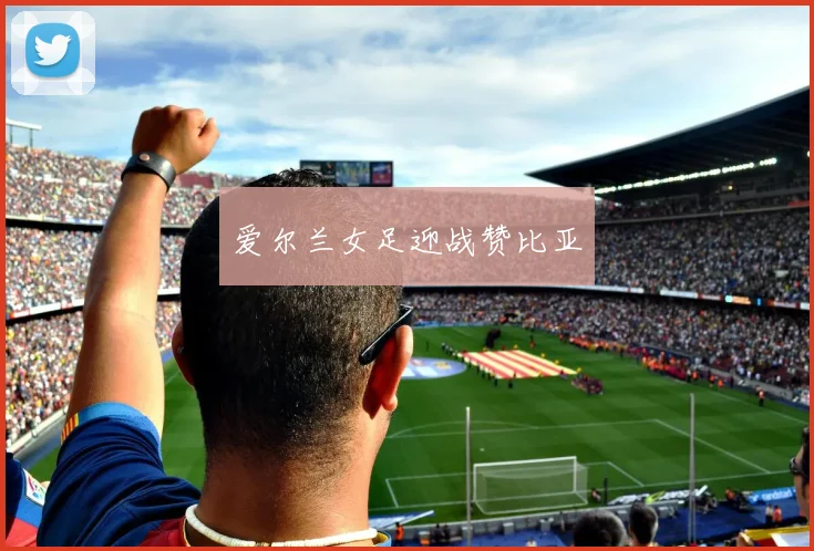 爱尔兰女足迎战赞比亚