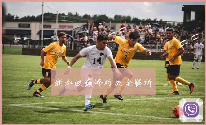 新加坡巅峰对决全解析