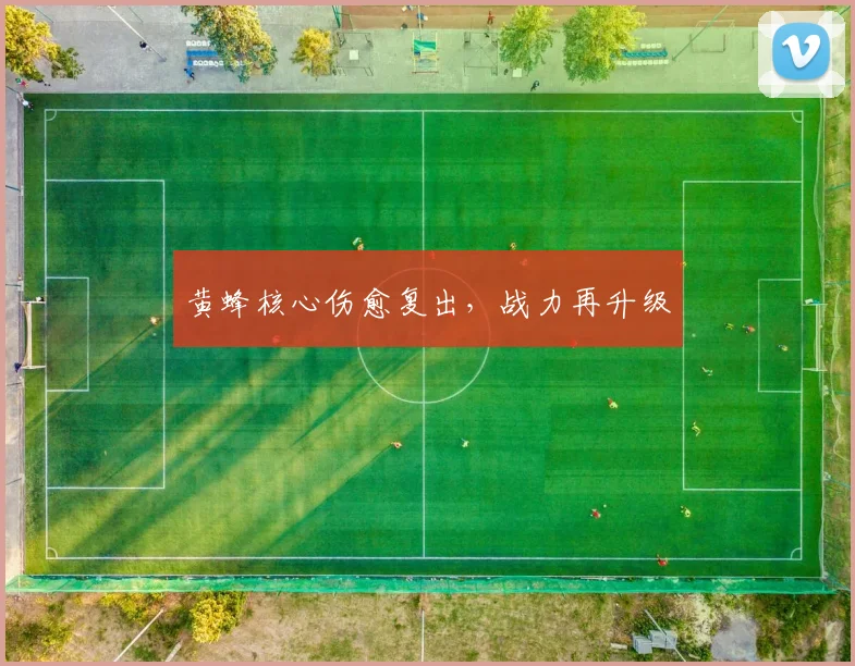 黄蜂核心伤愈复出,战力再升级