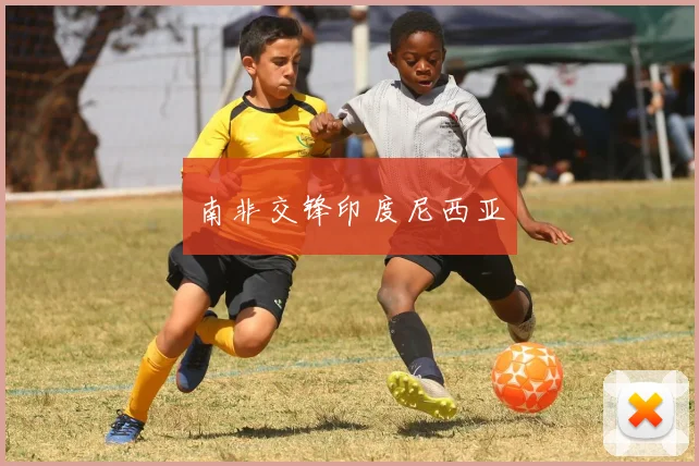 南非交锋印度尼西亚