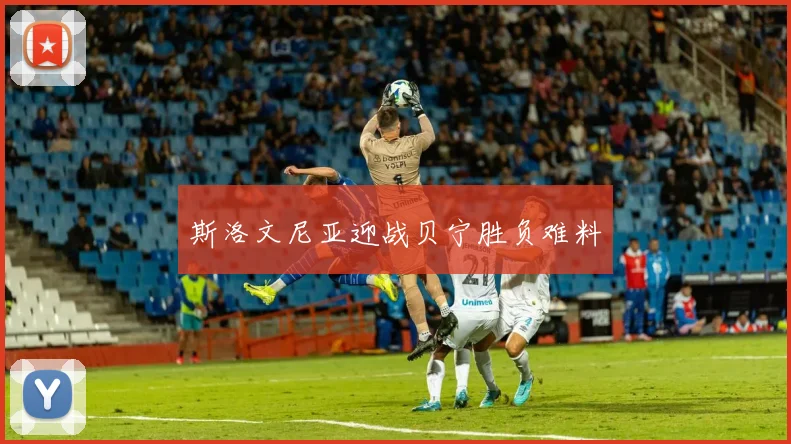斯洛文尼亚迎战贝宁胜负难料