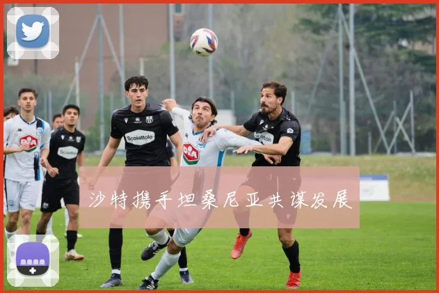 沙特携手坦桑尼亚共谋发展