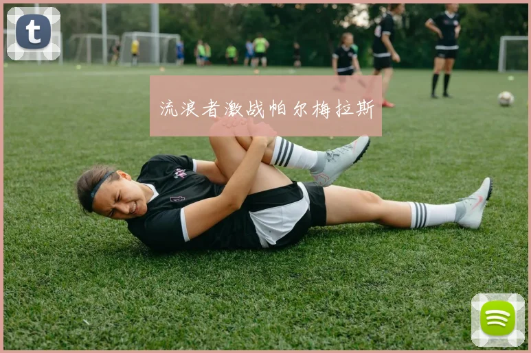 流浪者激战帕尔梅拉斯