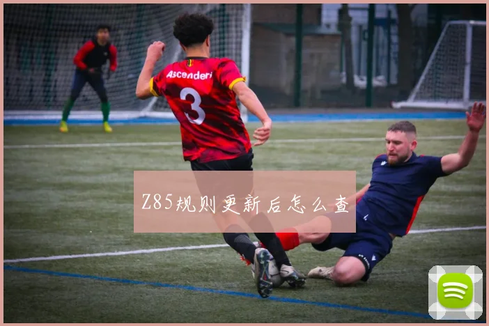 Z85规则更新后怎么查