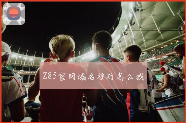 Z85官网域名核对怎么找