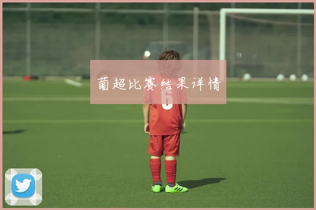 葡超比赛结果详情