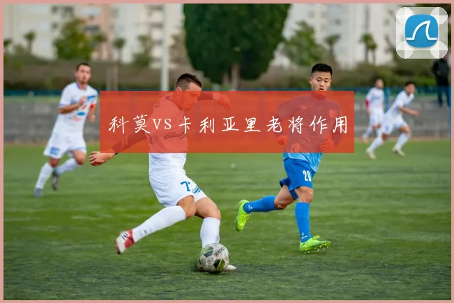 科莫vs卡利亚里老将作用