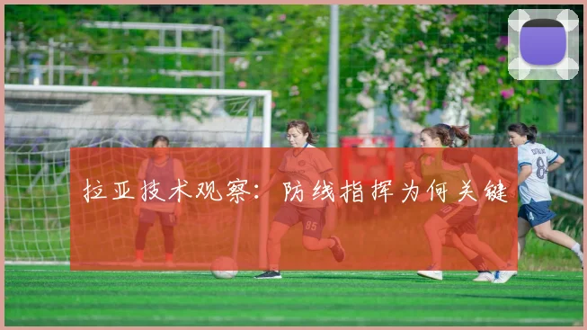 拉亚技术观察:防线指挥为何关键